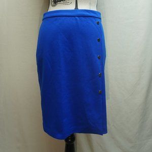 The Limited Blue Skirt